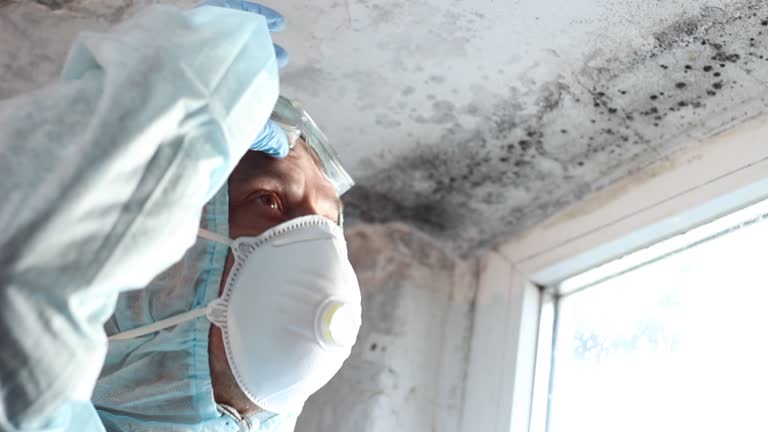 Best Asbestos and Lead Testing During Mold Inspection  in Westminster, CA